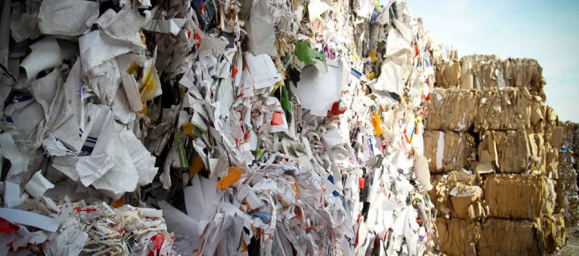 Kağıt Geri Dönüşüm